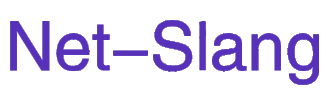 Net-Slang：Building a Secure and High-Performance Cloud Services & Infrastructure Platform