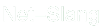 Net-Slang：Building a Secure and High-Performance Cloud Services & Infrastructure Platform